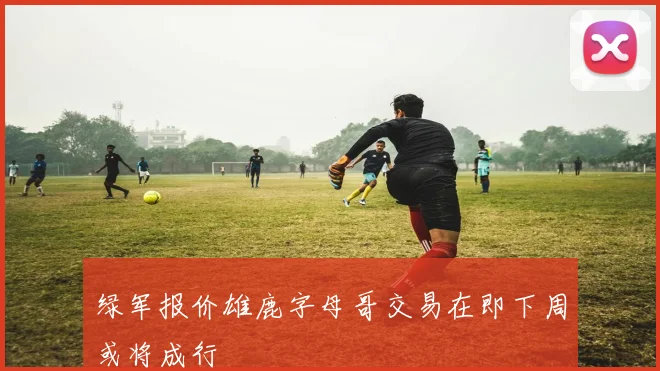 绿军报价雄鹿字母哥交易在即下周或将成行