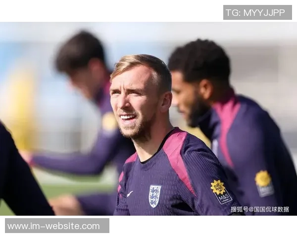 欧洲世预赛最佳球员候选名单揭晓帕洛特内维斯多库威尔逊争夺荣誉 欧洲世预赛最佳球员候选名单揭晓帕洛特内维斯多库威尔逊争夺荣誉